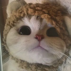 Meet your Posher, Jorge